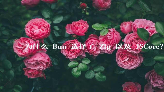 为什么 Bun 选择了 Zig 以及 JSCore？