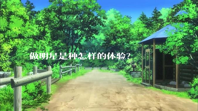 做明星是种怎样的体验？