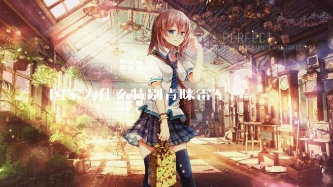 国家为什么特别青睐雷军？